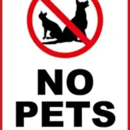 Front Luxury T1 Pools Garage Tennis Албуфейра