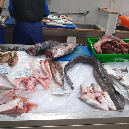 Front Luxury T1 Pools Garage Tennis Албуфейра