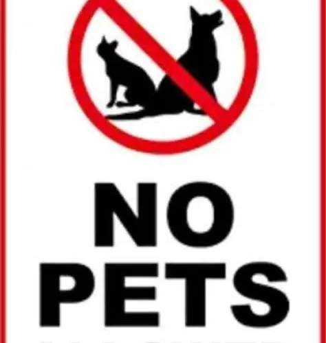 Front Luxury T1 Pools Garage Tennis Albufeira