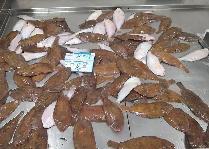 Front Luxury T1 Pools Garage Tennis *