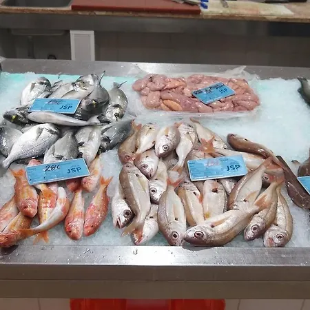 Front Luxury T1 Pools Garage Tennis