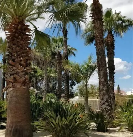 Front Luxury T1 Pools Garage Tennis Albufeira