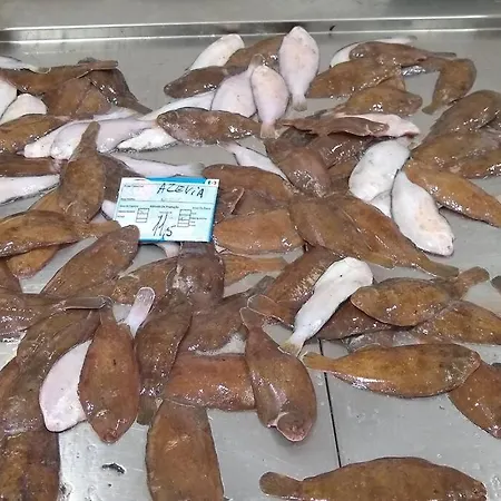 Front Luxury T1 Pools Garage Tennis *